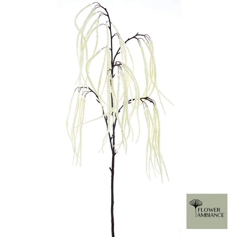Tak Foxtail 